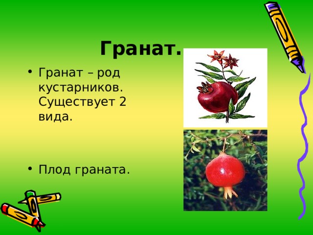Гранат. Гранат – род кустарников. Существует 2 вида.   Плод граната. 