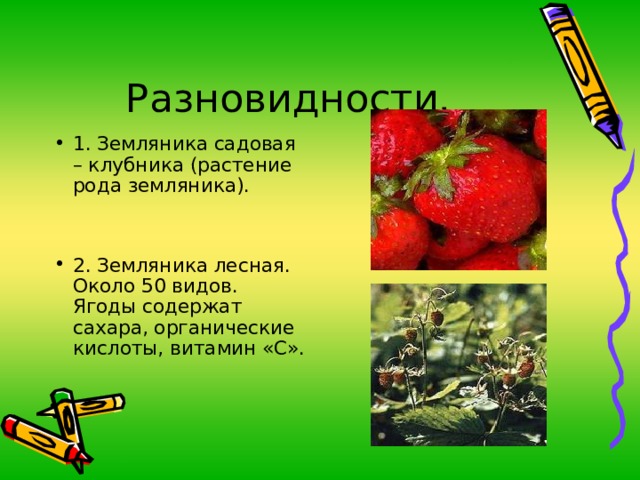 1. Земляника садовая – клубника (растение рода земляника).   2. Земляника лесная. Около 50 видов. Ягоды содержат сахара, органические кислоты, витамин «С». 