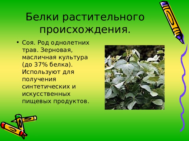 Белки растительного происхождения. Соя. Род однолетних трав. Зерновая, масличная культура (до 37% белка). Используют для получения синтетических и искусственных пищевых продуктов. 