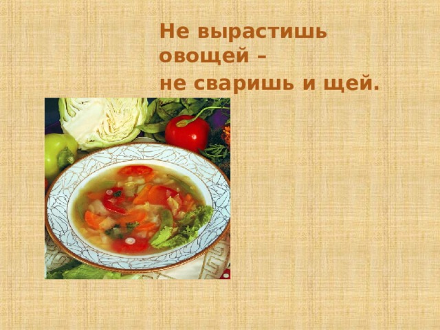 Не вырастишь овощей – не сваришь и щей. 4 