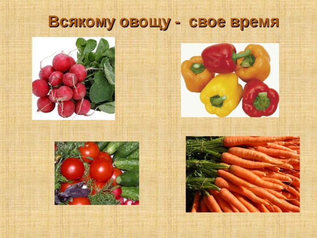 Всякому овощу - свое время 5 