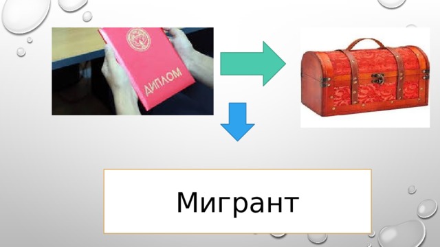 Мигрант 