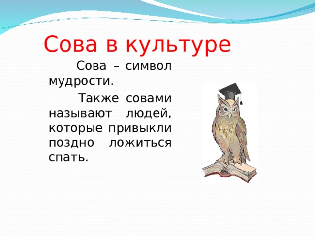 Сова в культуре  Сова – символ мудрости.  Также совами называют людей, которые привыкли поздно ложиться спать. 