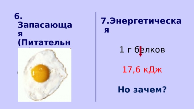 6. Запасающая (Питательная) Овальбумин 7.Энергетическая 7.Энергетическая  1 г белков 1 г белков  17,6 кДж 17,6 кДж  Но зачем? Но зачем? 
