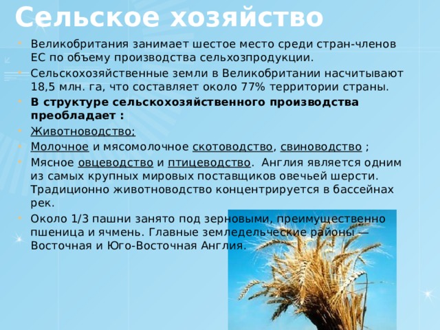 Сельское хозяйство Великобритания занимает шестое место среди стран-членов ЕС по объему производства сельхозпродукции. Сельскохозяйственные земли в Великобритании насчитывают 18,5 млн. га, что составляет около 77% территории страны. В структуре сельскохозяйственного производства преобладает : Животноводство; Молочное и мясомолочное скотоводство , свиноводство ; Мясное овцеводство и птицеводство . Англия является одним из самых крупных мировых поставщиков овечьей шерсти. Традиционно животноводство концентрируется в бассейнах рек. Около 1/3 пашни занято под зерновыми, преимущественно пшеница и ячмень. Главные земледельческие районы — Восточная и Юго-Восточная Англия. 