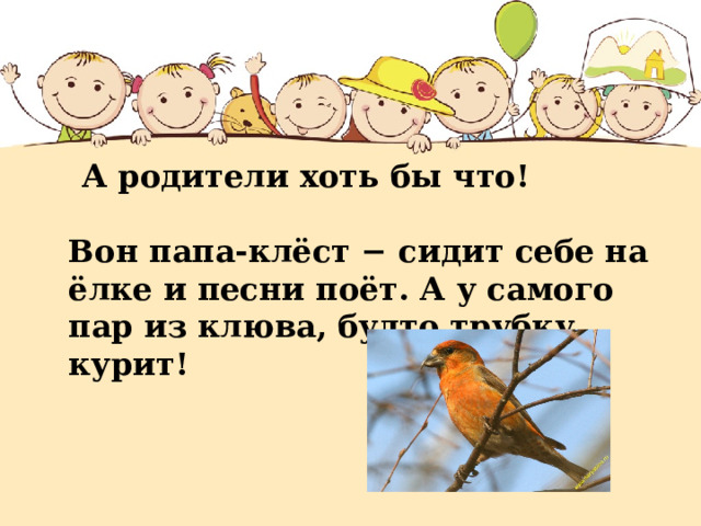 А родители хоть бы что!     Вон папа-клёст − сидит себе на ёлке и песни поёт. А у самого пар из клюва, будто трубку курит! 