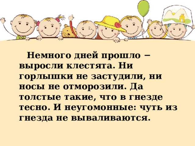  Немного дней прошло − выросли клестята. Ни горлышки не застудили, ни носы не отморозили. Да толстые такие, что в гнезде тесно. И неугомонные: чуть из гнезда не вываливаются. 