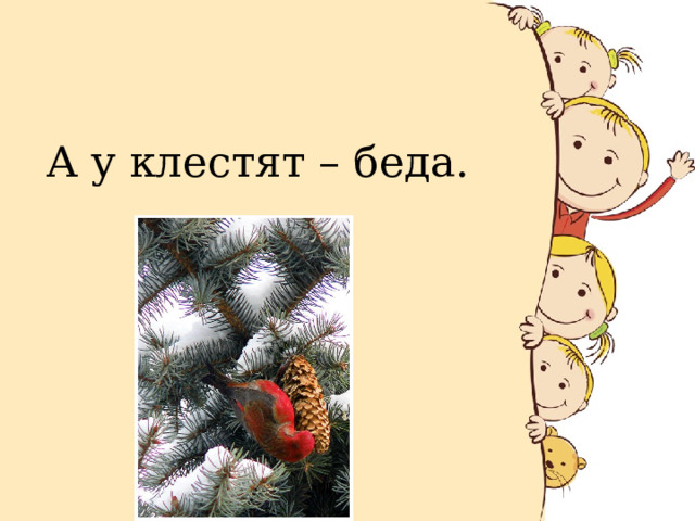 А у клестят – беда. 