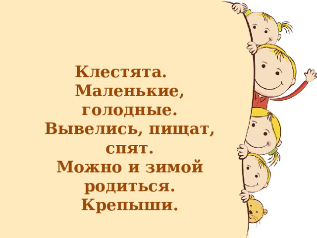 Клестята.  Маленькие, голодные.  Вывелись, пищат, спят.  Можно и зимой родиться.  Крепыши.  