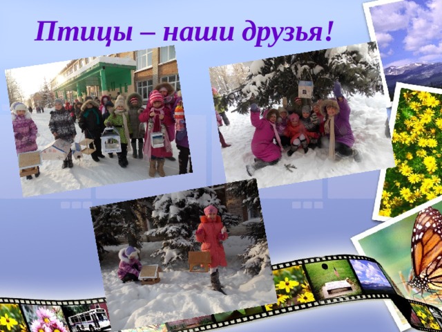   Птицы – наши друзья! 