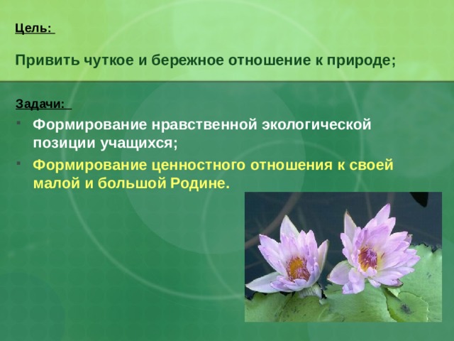  Цель:   Привить чуткое и бережное отношение к природе;     Задачи: Формирование нравственной экологической позиции учащихся; Формирование ценностного отношения к своей малой и большой Родине. 