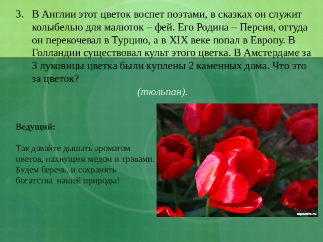 В Англии этот цветок воспет поэтами, в сказках он служит колыбелью для малюток – фей. Его Родина – Персия, оттуда он перекочевал в Турцию, а в XIX веке попал в Европу. В Голландии существовал культ этого цветка. В Амстердаме за 3 луковицы цветка были куплены 2 каменных дома. Что это за цветок? (тюльпан). Ведущий:  Так давайте дышать ароматом цветов, пахнущим медом и травами. Будем беречь, и сохранять богатства нашей природы! 