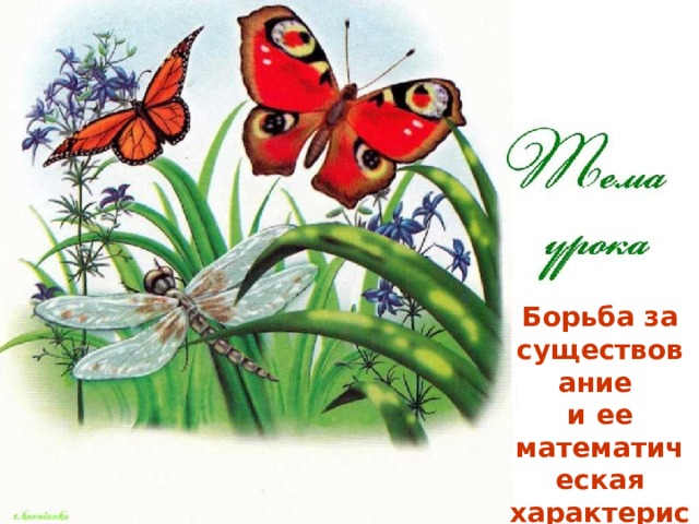 Борьба за существование и ее математическая характеристика