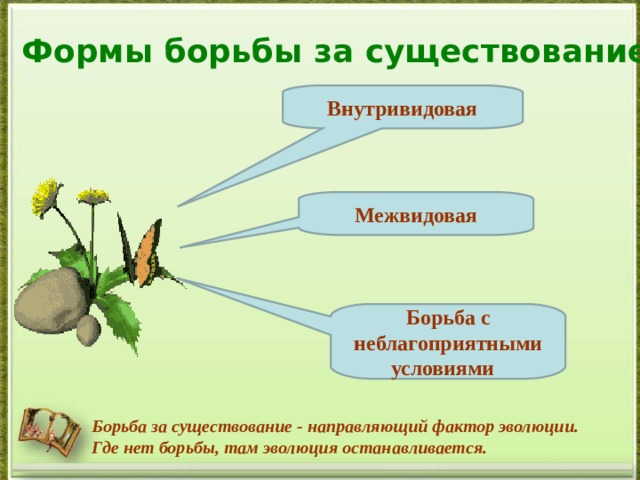 Формы борьбы за существование Внутривидовая Межвидовая Борьба с неблагоприятными условиями Борьба за существование - направляющий фактор эволюции. Где нет борьбы, там эволюция останавливается.  