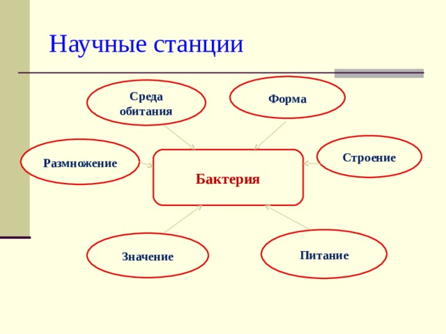 Научные станции Форма Среда обитания Строение Размножение Бактерия Питание Значение
