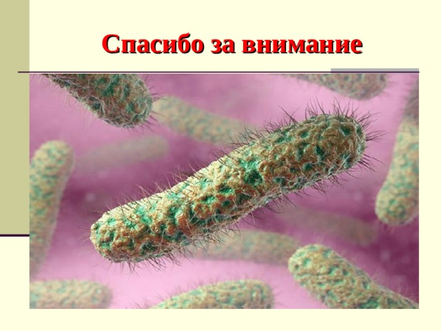 Спасибо за внимание