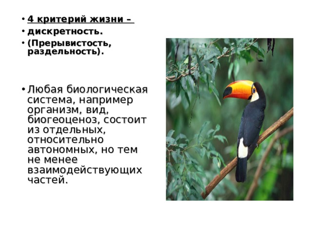 4 критерий жизни – дискретность. (Прерывистость, раздельность).   Любая биологическая система, например организм, вид, биогеоценоз, состоит из отдельных, относительно автономных, но тем не менее взаимодействующих частей.   