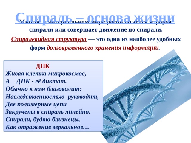 Спираль – основа жизни Многое в материальном мире располагается в форме спирали или совершает движение по спирали. Спиралевидная структура  — это одна из наиболее удобных форм  долговременного хранения информации .    ДНК Живая клетка микрокосмос, А ДНК - её диктат. Обычно к нам благоволит: Наследственностью руководит, Две полимерные цепи Закручены в спираль линейно. Спирали, будто близнецы, Как отражение зеркальное… 