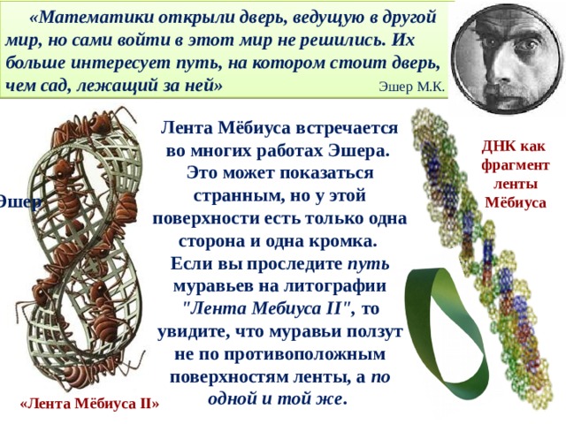  «Математики открыли дверь, ведущую в другой мир, но сами войти в этот мир не решились. Их больше интересует путь, на котором стоит дверь, чем сад, лежащий за ней» Эшер М.К. Лента Мёбиуса встречается во многих работах Эшера. Это может показаться странным, но у этой поверхности есть только одна сторона и одна кромка. Если вы проследите путь муравьев на литографии 