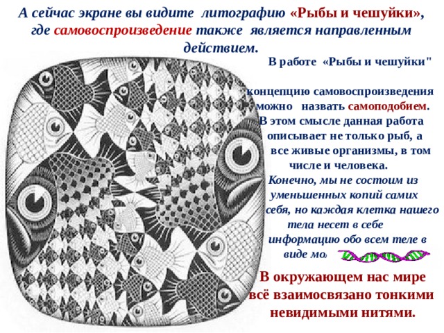 А сейчас экране вы видите литографию «Рыбы и чешуйки» , где самовоспроизведение также является направленным действием.   В работе «Рыбы и чешуйки