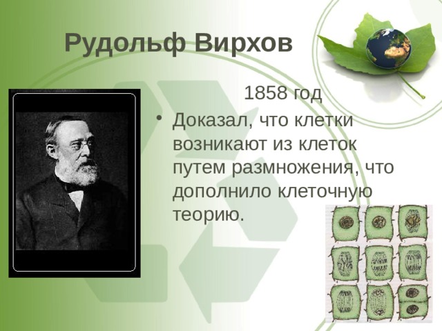 Рудольф Вирхов 1858 год Доказал, что клетки возникают из клеток путем размножения, что дополнило клеточную теорию. 