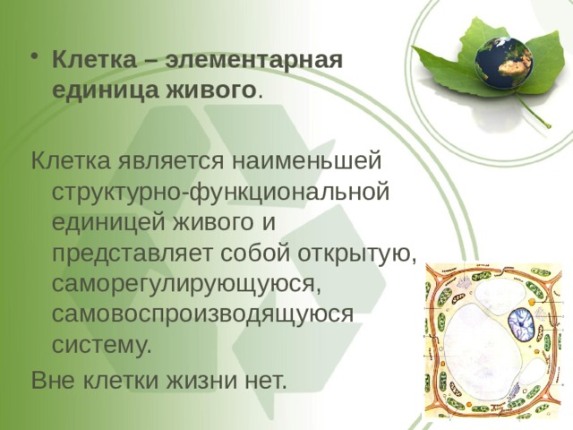 Клетка – элементарная единица живого . Клетка является наименьшей структурно-функциональной единицей живого и представляет собой открытую, саморегулирующуюся, самовоспроизводящуюся систему. Вне клетки жизни нет. 