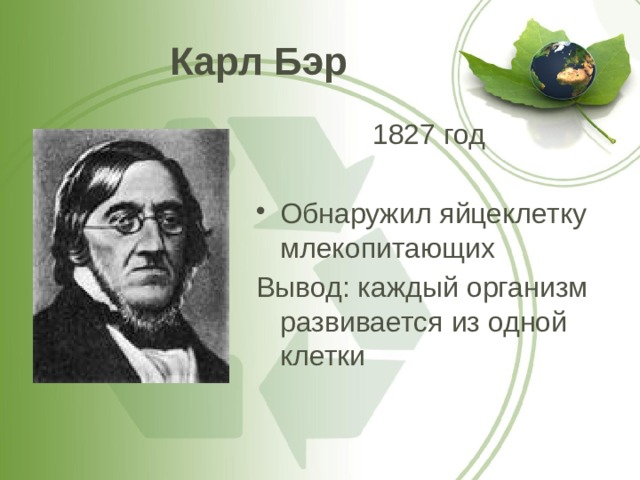 Карл Бэр 1827 год Обнаружил яйцеклетку млекопитающих Вывод: каждый организм развивается из одной клетки 
