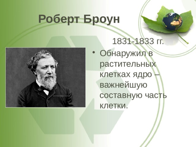 Роберт Броун 1831-1833 гг. Обнаружил в растительных клетках ядро – важнейшую составную часть клетки. 