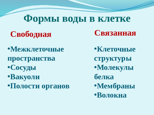 Формы воды в клетке Связанная Свободная Межклеточные пространства Сосуды Вакуоли Полости органов Клеточные структуры Молекулы белка Мембраны Волокна 