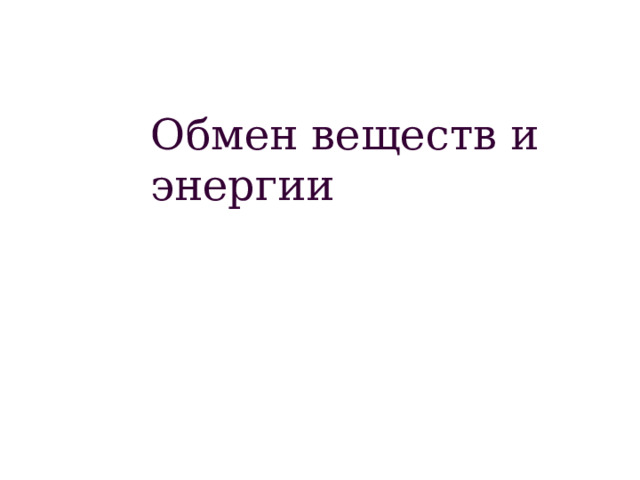 Обмен веществ и энергии 