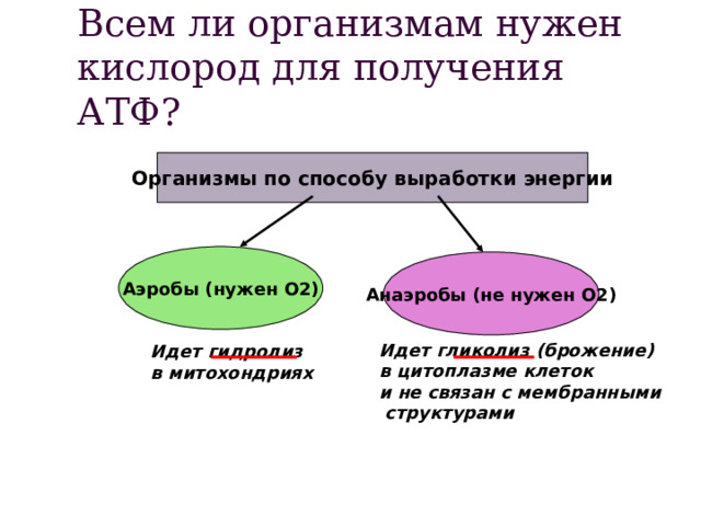 Всем ли организмам нужен кислород для получения АТФ? Организмы по способу выработки энергии Аэробы (нужен О2) Анаэробы (не нужен О2) Идет гликолиз (брожение) в цитоплазме клеток и не связан с мембранными  структурами Идет гидролиз в митохондриях 