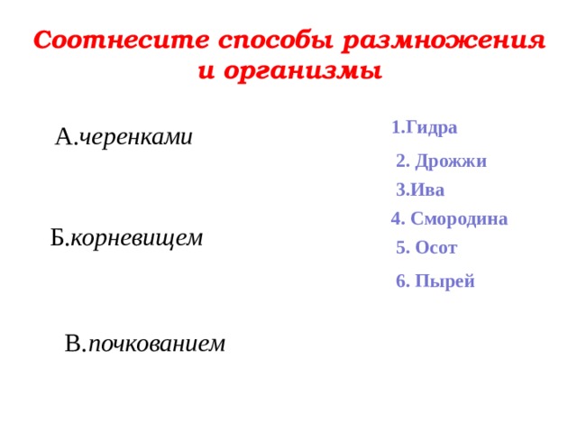 Соотнесите способы размножения и организмы 1.Гидра А. черенками 2. Дрожжи 3.Ива 4. Смородина Б. корневищем 5. Осот 6. Пырей В. почкованием 
