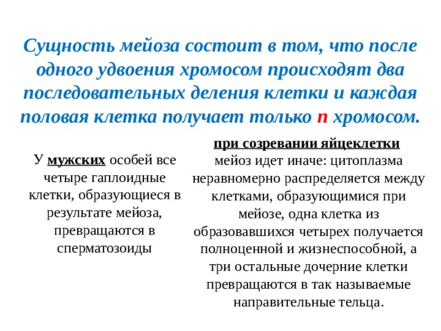 Сущность мейоза состоит в том, что после одного удвоения хромосом происходят два последовательных деления клетки и каждая половая клетка получает только п хромосом. при созревании яйцеклетки  мейоз идет иначе: цитоплазма неравномерно распределяется между клетками, образующимися при мейозе, одна клетка из образовавшихся четырех получается полноценной и жизнеспособной, а три остальные дочерние клетки превращаются в так называемые направительные тельца. У мужских особей все четыре гаплоидные клетки, образующиеся в результате мейоза, превращаются в сперматозоиды 