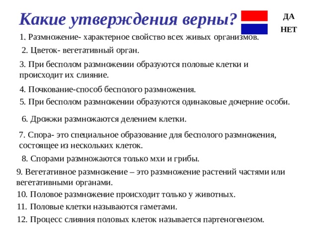 Какие утверждения верны? ДА НЕТ 1 . Размножение- характерное свойство всех живых организмов. 2. Цветок- вегетативный орган. 3. При бесполом размножении образуются половые клетки и происходит их слияние. 4. Почкование-способ бесполого размножения. 5. При бесполом размножении образуются одинаковые дочерние особи. 6. Дрожжи размножаются делением клетки. 7. Спора- это специальное образование для бесполого размножения, состоящее из нескольких клеток. 8. Спорами размножаются только мхи и грибы. 9. Вегетативное размножение – это размножение растений частями или вегетативными органами. 10 . Половое размножение происходит только у животных. 11. Половые клетки называются гаметами. 12. Процесс слияния половых клеток называется партеногенезом. 