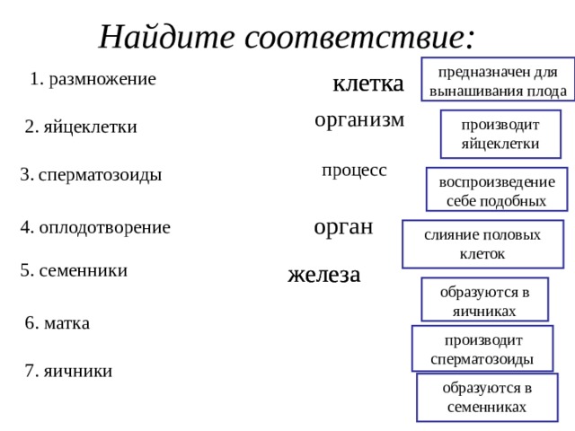 Найдите соответствие: предназначен для вынашивания плода 1. размножение клетка клетка  организм 2. яйцеклетки производит яйцеклетки процесс 3.  сперматозоиды воспроизведение себе подобных орган 4. оплодотворение слияние половых клеток железа 5. семенники железа образуются в яичниках 6. матка  производит сперматозоиды 7. яичники образуются в семенниках 