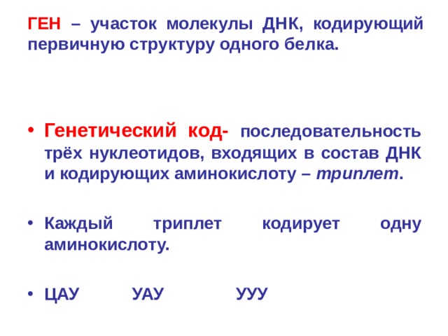 ГЕН – участок молекулы ДНК, кодирующий первичную структуру одного белка. Генетический код- последовательность трёх нуклеотидов, входящих в состав ДНК и кодирующих аминокислоту – триплет .  Каждый триплет кодирует одну аминокислоту.  ЦАУ УАУ УУУ 