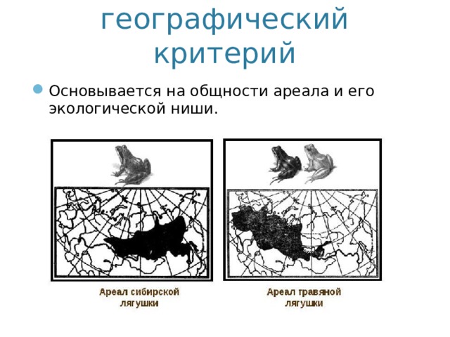Эколого – географический критерий Основывается на общности ареала и его экологической ниши. 