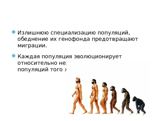 Излишнюю специализацию популяций, обеднение их генофонда предотвращают миграции. Каждая популяция эволюционирует относительно независимо от других популяций того же вида. 