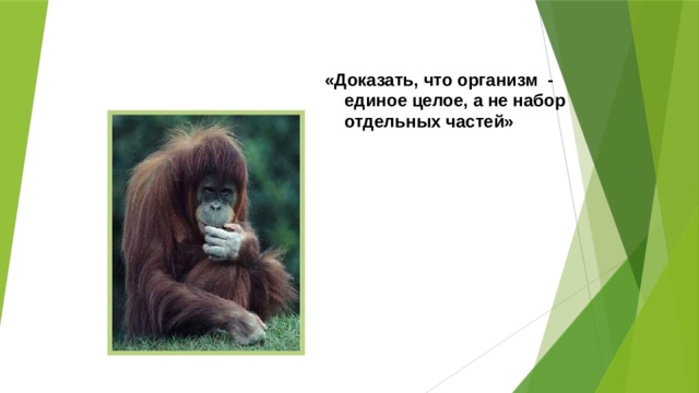 «Доказать, что организм - единое целое, а не набор отдельных частей» 