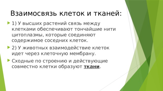 Взаимосвязь клеток и тканей: 1) У высших растений связь между клетками обеспечивают тончайшие нити цитоплазмы, которые соединяют содержимое соседних клеток. 2) У животных взаимодействие клеток идет через клеточную мембрану. Сходные по строению и действующие совместно клетки образуют ткани . 