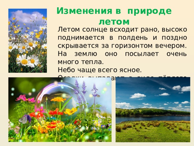 Изменения в природе летом Летом солнце всходит рано, высоко поднимается в полдень и поздно скрывается за горизонтом вечером. На землю оно посылает очень много тепла. Небо чаще всего ясное. Осадки выпадают в виде тёплого дождя. 