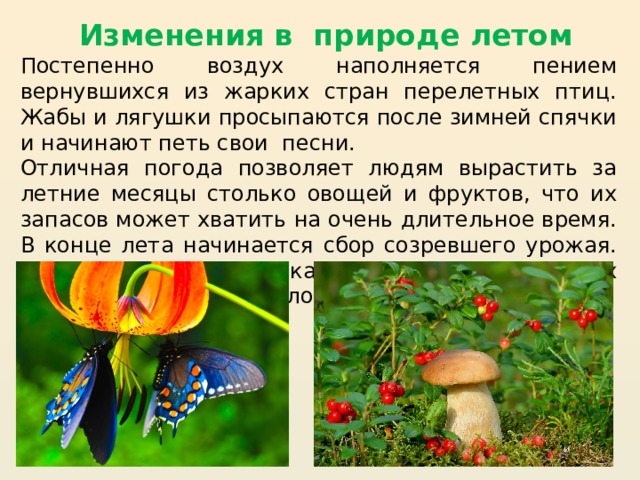 Изменения в природе летом Постепенно воздух наполняется пением вернувшихся из жарких стран перелетных птиц. Жабы и лягушки просыпаются после зимней спячки и начинают петь свои песни. Отличная погода позволяет людям вырастить за летние месяцы столько овощей и фруктов, что их запасов может хватить на очень длительное время. В конце лета начинается сбор созревшего урожая. На многих кустарниках, деревьях и других растениях поспевают плоды. 