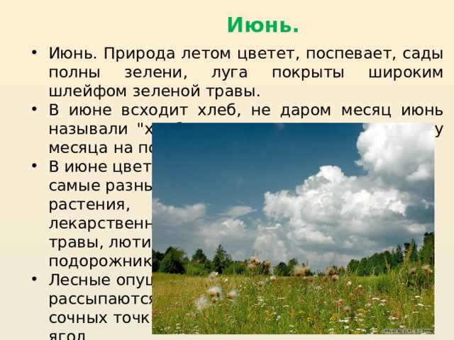 Июнь. Июнь. Природа летом цветет, поспевает, сады полны зелени, луга покрыты широким шлейфом зеленой травы. В июне всходит хлеб, не даром месяц июнь называли 