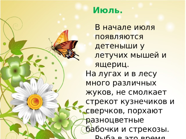 Июль. В начале июля появляются детеныши у летучих мышей и ящериц. На лугах и в лесу много различных жуков, не смолкает стрекот кузнечиков и сверчков, порхают разноцветные бабочки и стрекозы. Рыба в это время становится вялой и плохо клюет. 