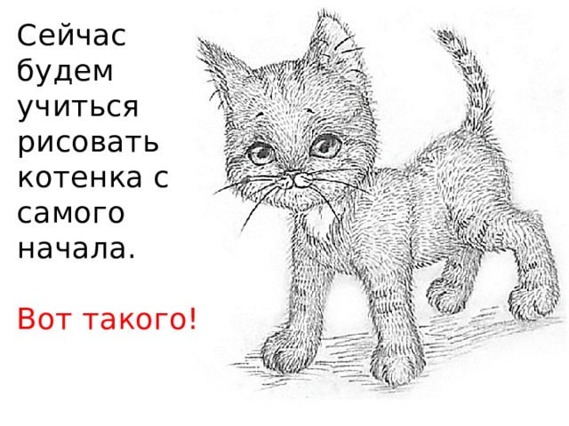 Сейчас будем учиться рисовать котенка с самого начала.   Вот такого! 