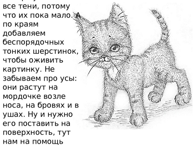 Вот, уже красиво! Теперь усиливаем все тени, потому что их пока мало. А по краям добавляем беспорядочных тонких шерстинок, чтобы оживить картинку. Не забываем про усы: они растут на мордочке возле носа, на бровях и в ушах. Ну и нужно его поставить на поверхность, тут нам на помощь придет тень. 