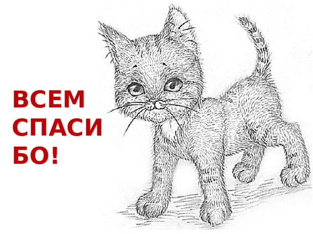 ВСЕМ  СПАСИБО! 