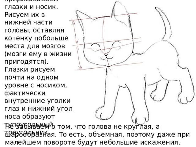 Теперь пририсовываем глазки и носик. Рисуем их в нижней части головы, оставляя котенку побольше места для мозгов (мозги ему в жизни пригодятся). Глазки рисуем почти на одном уровне с носиком, фактически внутренние уголки глаз и нижний угол носа образуют тупоугольный треугольник. Не забываем о том, что голова не круглая, а шарообразная. То есть, объемная, поэтому даже при малейшем повороте будут небольшие искажения. 