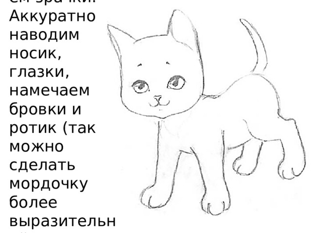 Пририсовываем зрачки. Аккуратно наводим носик, глазки, намечаем бровки и ротик (так можно сделать мордочку более выразительной). 