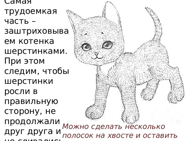 Самая трудоемкая часть – заштриховываем котенка шерстинками. При этом следим, чтобы шерстинки росли в правильную сторону, не продолжали друг друга и не сливались. Можно сделать несколько полосок на хвосте и оставить белую грудку. 